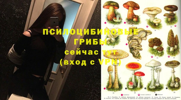 ГАЛЛЮЦИНОГЕННЫЕ ГРИБЫ Навашино