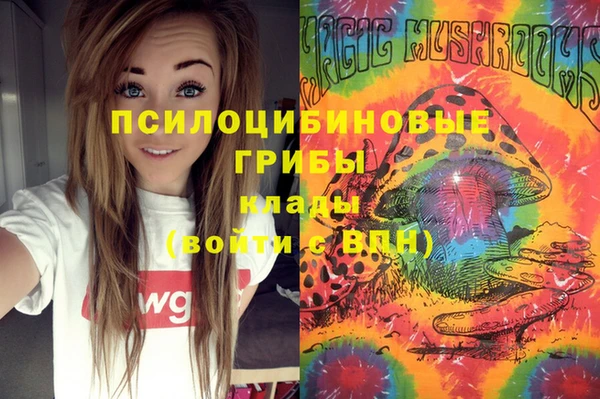 винт Надым