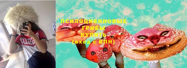 ГАЛЛЮЦИНОГЕННЫЕ ГРИБЫ Навашино