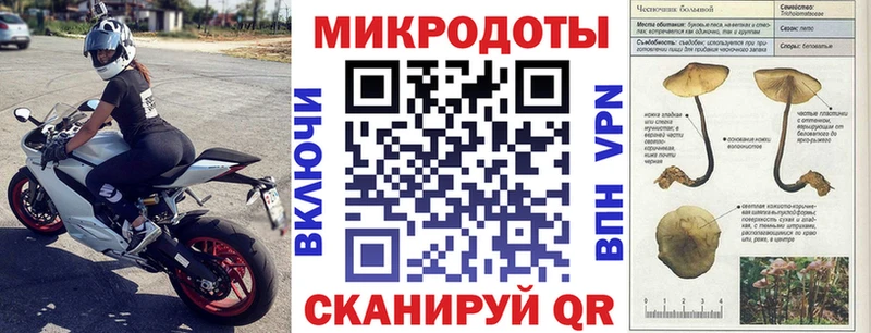 купить   Солигалич  Псилоцибиновые грибы Psilocybe 